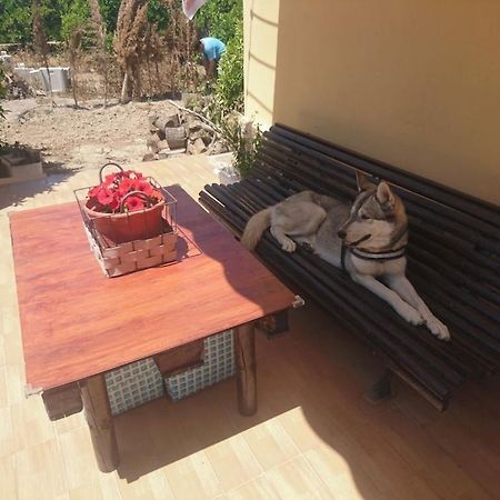 福蒙特拉德尔塞古拉Casita Entre Naranjas别墅 外观 照片