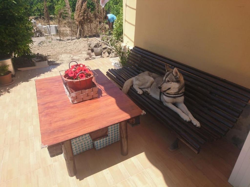 福蒙特拉德尔塞古拉Casita Entre Naranjas别墅 外观 照片